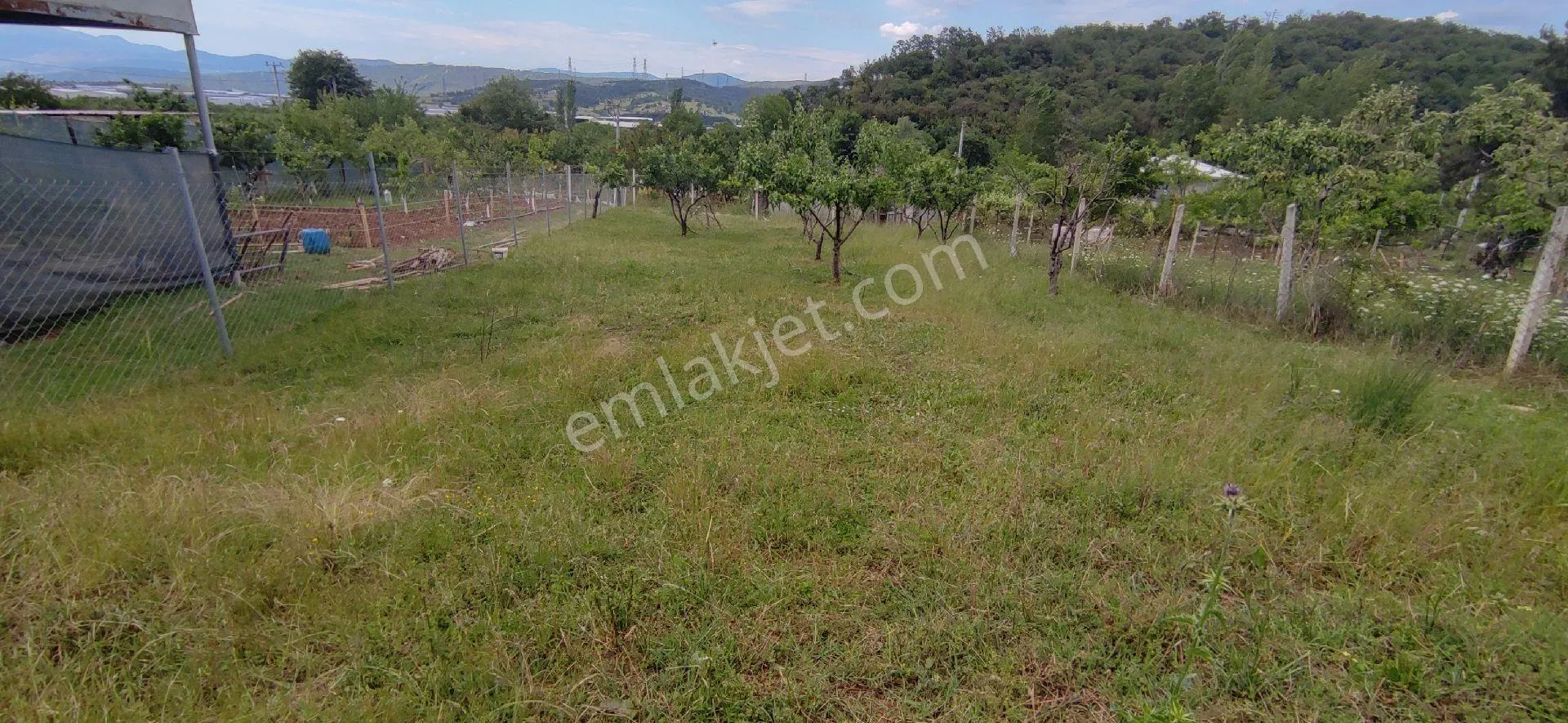 Kestel Erdoğan Köy Satılık Bahçe (450m2)