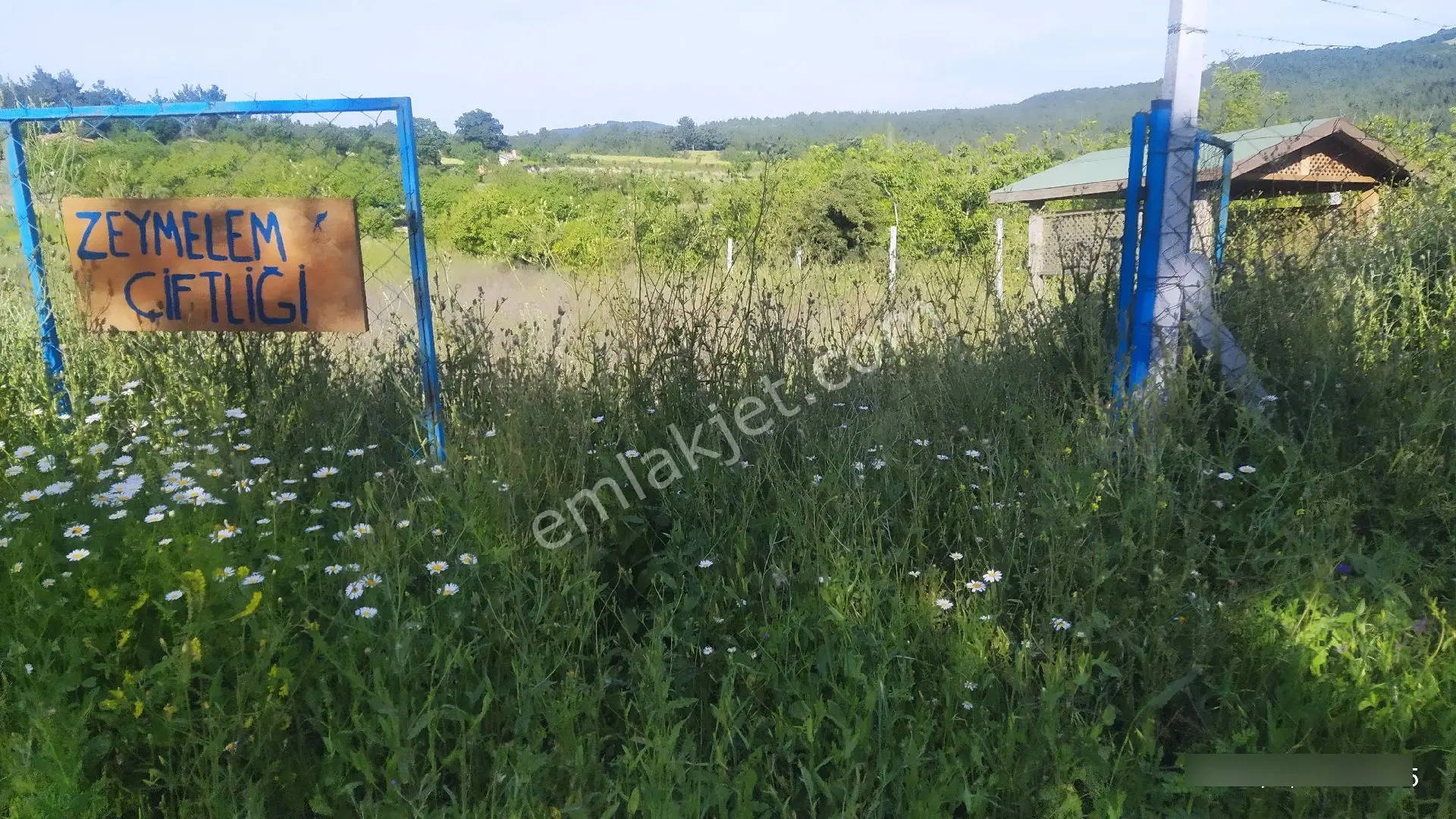 Sahibinden 14donum... Çift Yola Cepheli Köyün Dibinde