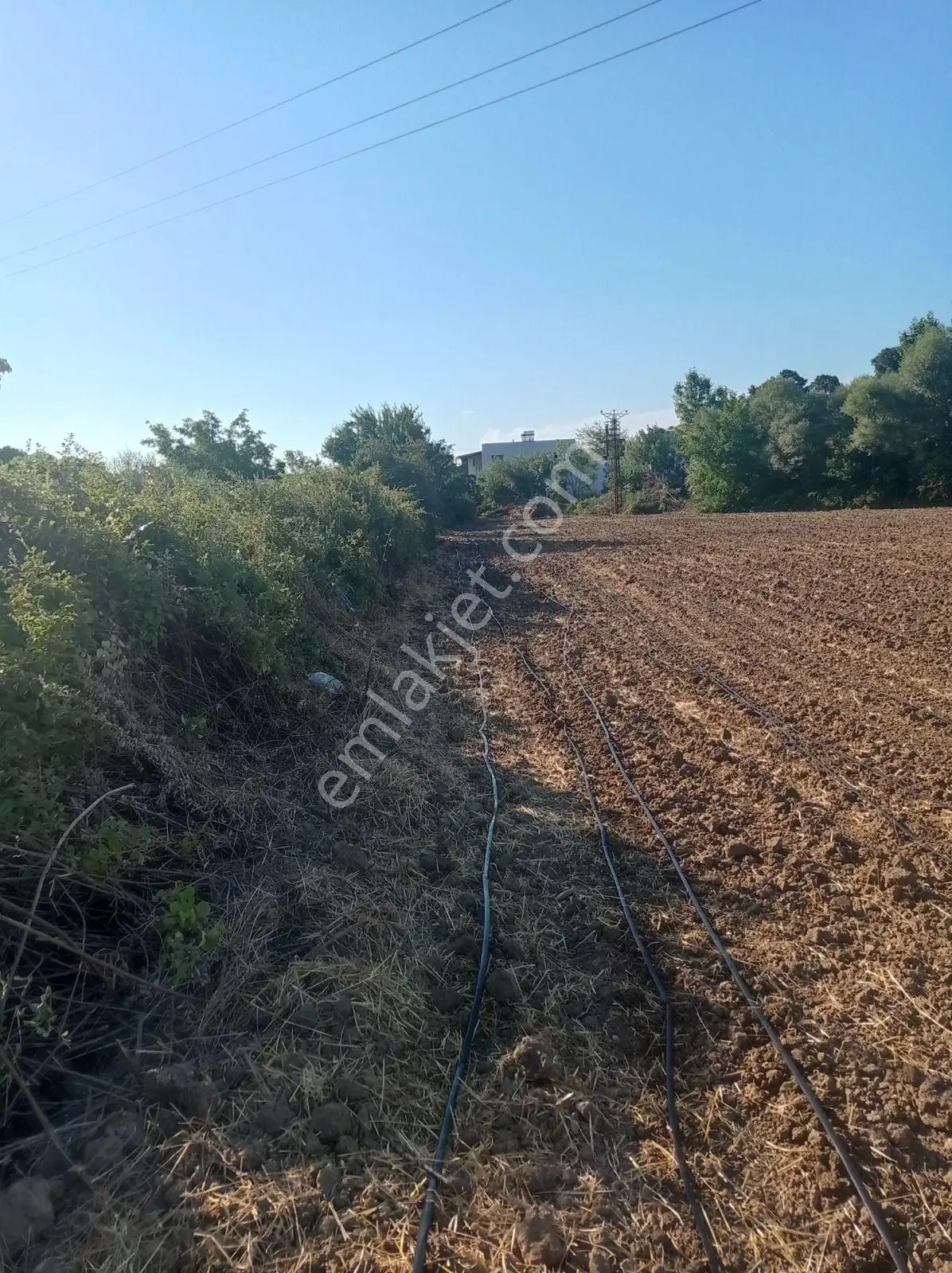 Sahibinden Çanakkale • Biga • Bakacak Ta Satılık Müstakil Tarla