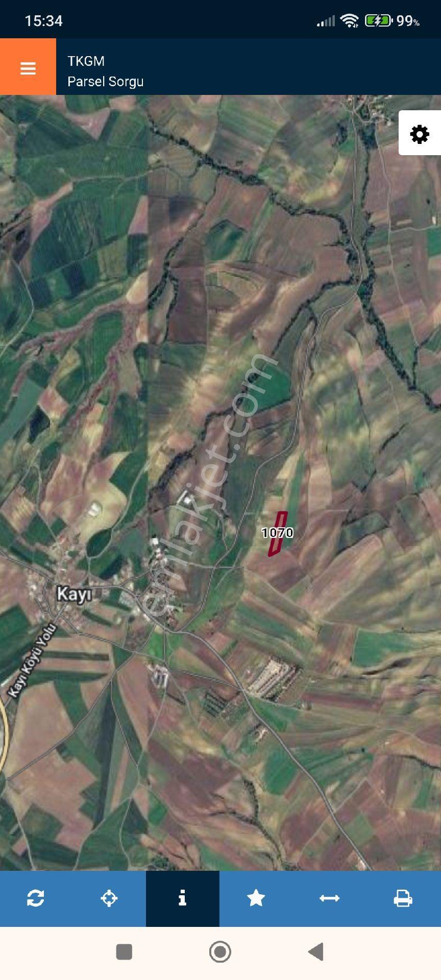 Tekirdağ Kayı Sahibinden 12.300 M2 Satılık Tarla