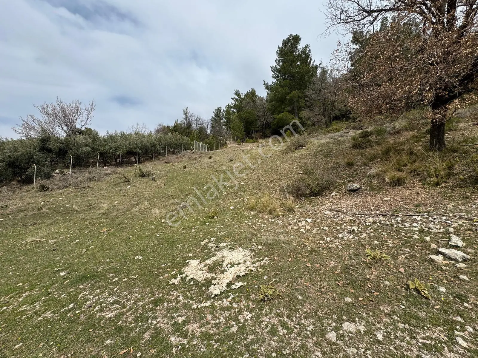 Sahibinden Satılık617 M² Müstakil Tapulu Arsa Seydikemer Yaka Mahallesi