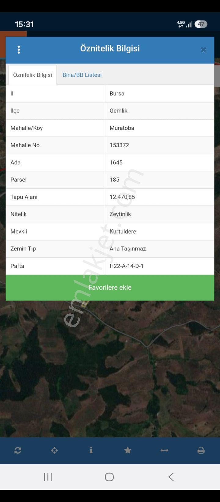 Sahibinden Acil Satılık Zeytinlik