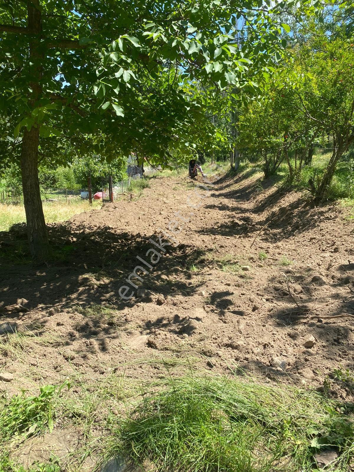 Sahibinden Sarayköy Altıntepe 600.05 Mt2