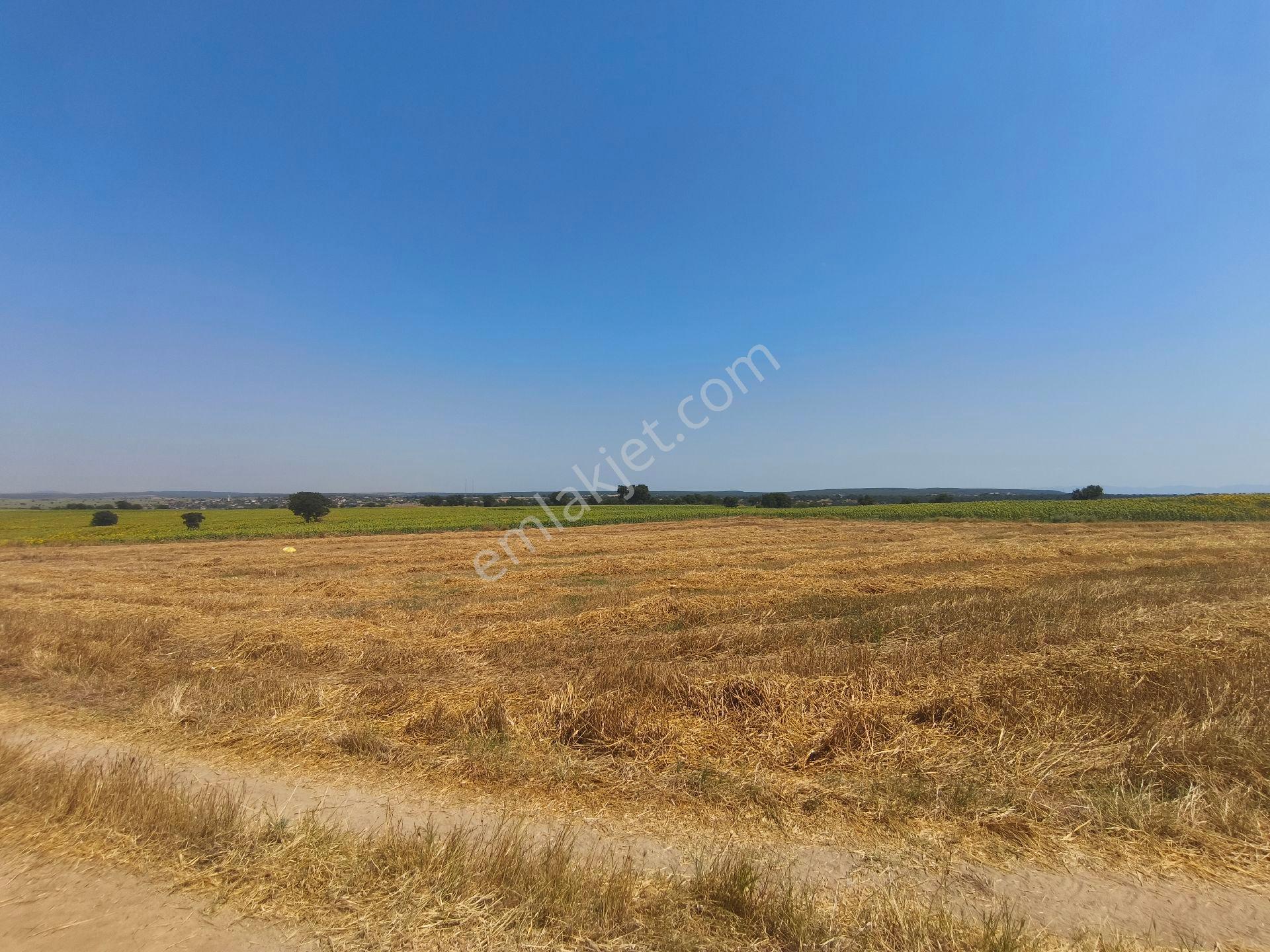 Sahibinden Vakıf Köyü Satılık Tarla