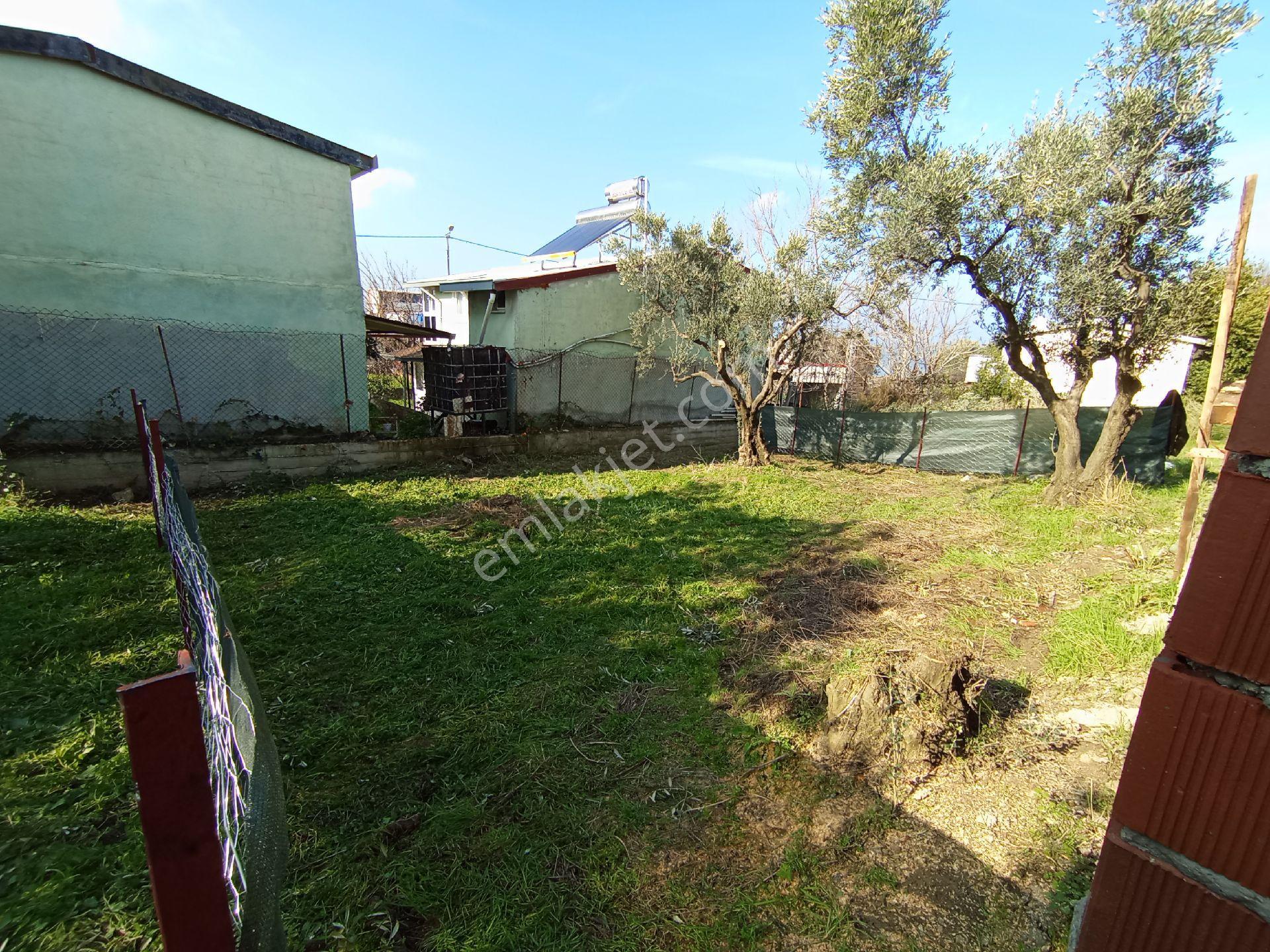 Sahibinden Bursa Mudanya Ayazma Arsa