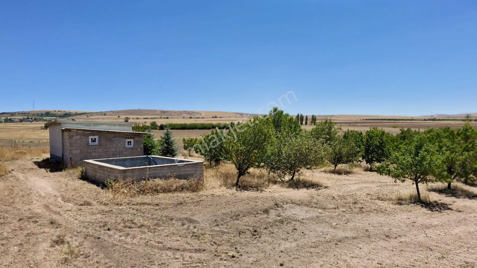 Sahibinden 16 Dönüm Satılık Ceviz Bahçesi