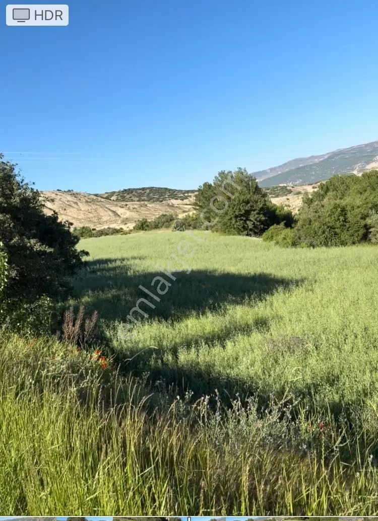 Sahibinden Sivas Divriğibayırlı Köyü