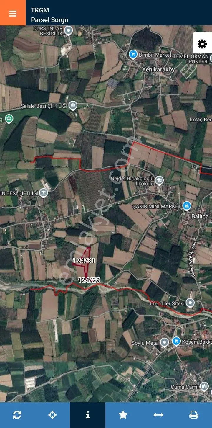 Sahibinden Düzce Merkez Ballıca Da Satılık 16.449 M2 Yer