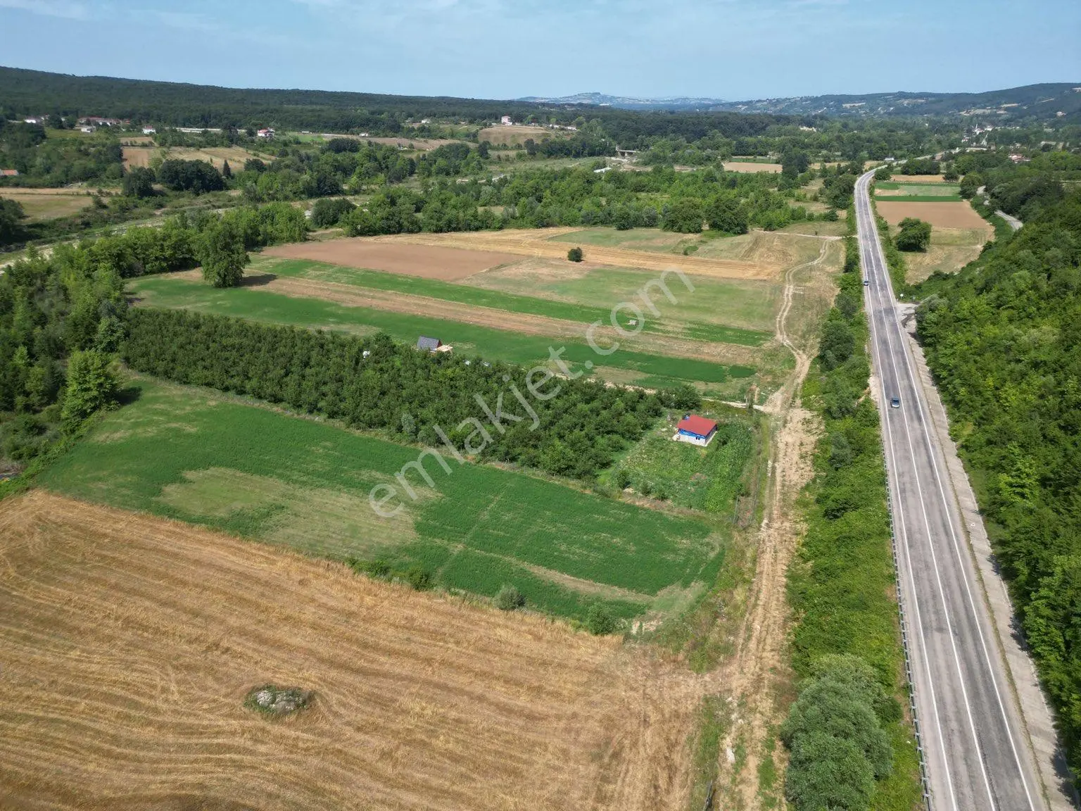 Sahibinden Sinop Erfelek Yol Üstünde , Hasandere Mevkiinde Satılık 9 Yaşında 12,5 Dönüm Veviz Bahçesi