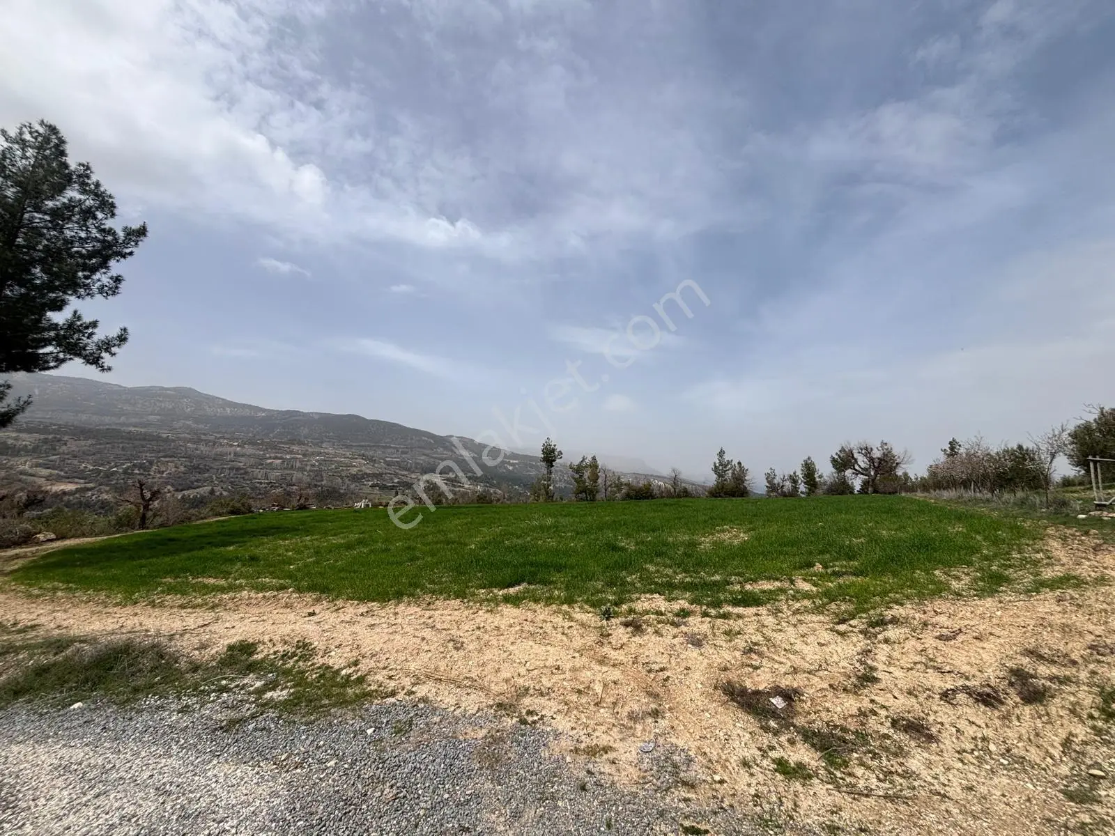 Sahibinden Yalındal Köyü'nde Ana Asfalta Sıfır 3.929,12 M² Satılık Tarla