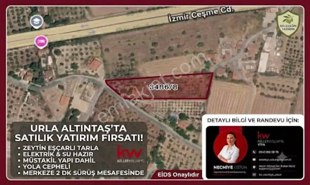 Sahibinden Urla Altıntaş Mahallesi'nde 5801 M² Satılık Zeytinli Tarla