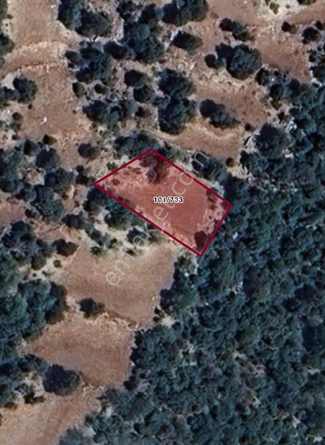 Sahibinden Mersin Erdemli Kösereli'de 735m² Müstakil Tapulu Satılık Tarla