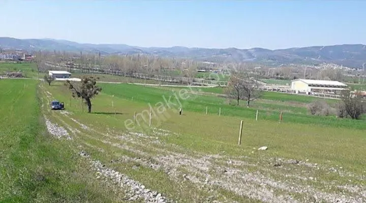 Sahibinden Kepsut Yenice'de Satılık 392 M² Konut İmarlı Arsa