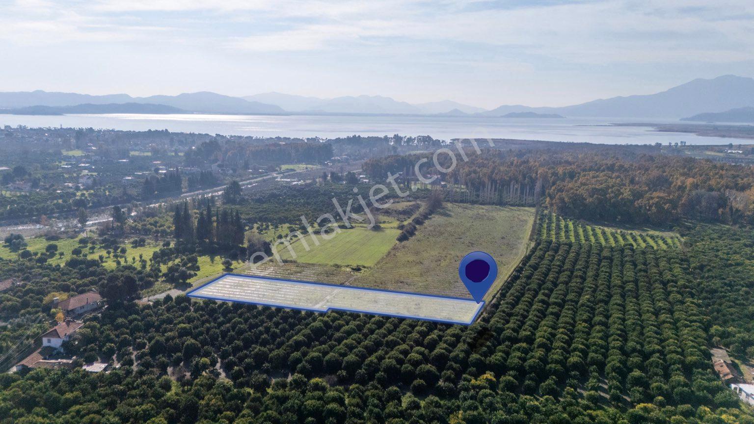 Sahibinden Muğla Köyceğiz Merkezde 4 Dönüm Arazi Göle Delta Plajına Kordona Yakın