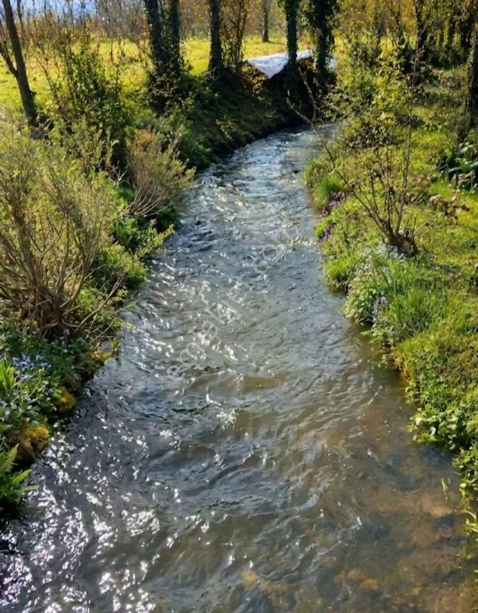 Sahibinden Bursa Da Dere Kenarı Bahçe