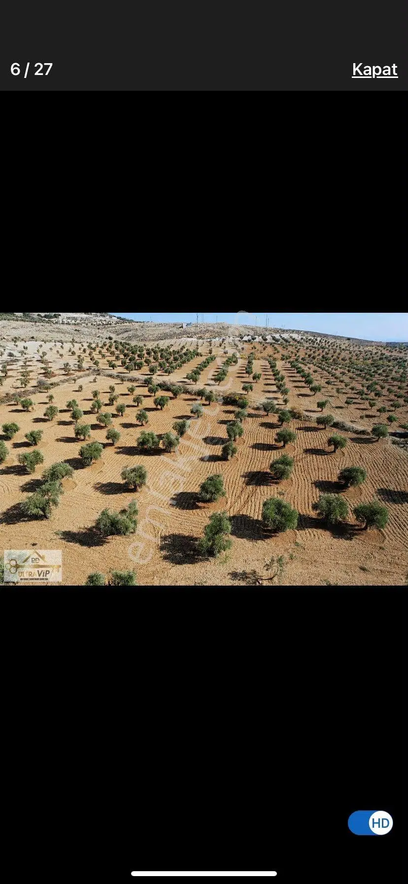 Sahibinden Akpınar Mesıre Alana Cıvarı Yenı Hastaneye Ikı Km 6.408 Dönüm 60 Agac Yerlı Zeytın