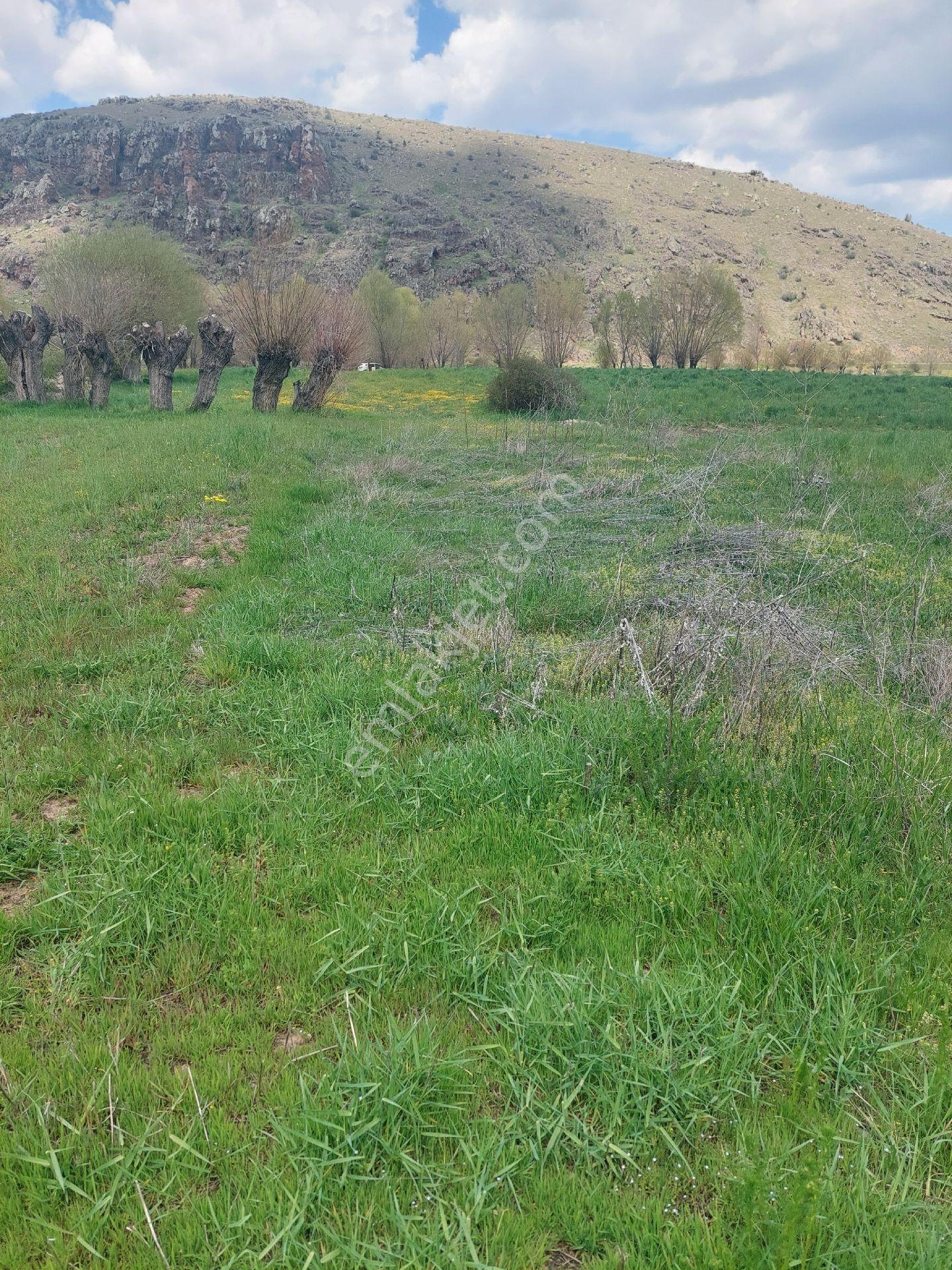 Sahibinden Şuhuta 3 Dakika Afyona 15 Dakika Mesafede Bulunan 1200 M2 Tarlamız Satılıktır