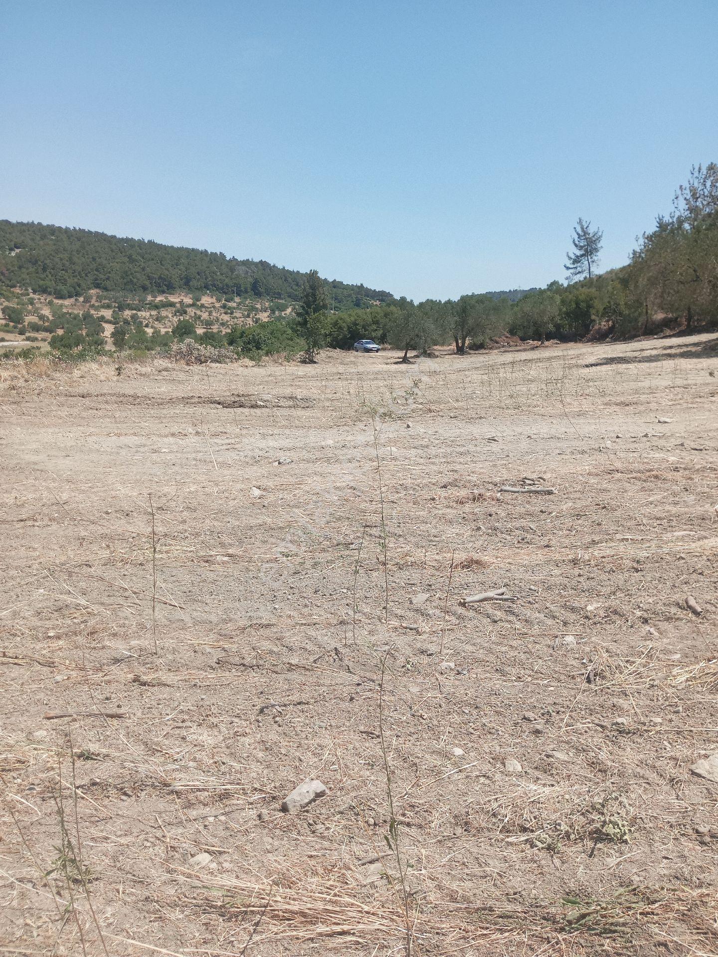 Sahibinden Yatırımlık Sahibinden Tarla