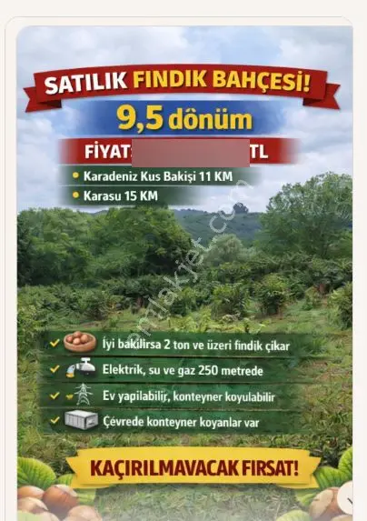 Sahibinden Ferizli Nalköy Satılık 9462 M² Verimli Fındık Bahçesi Ya Cok Amacli Kullanilabilir Açıkla