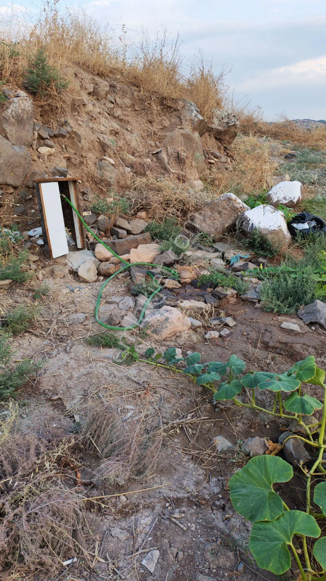 Sahibinden Bağ Evlik Tarla, Suyu Ve Yolu Var.