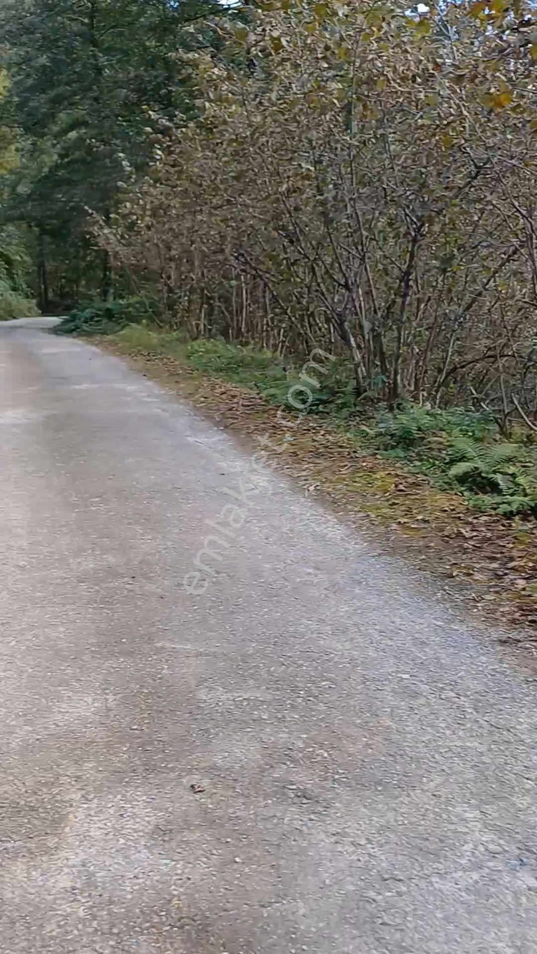 Sahibinden Giresun Görele'de Müstakil Tapulu Ana Yola Cephe 590 M2 Parsel.