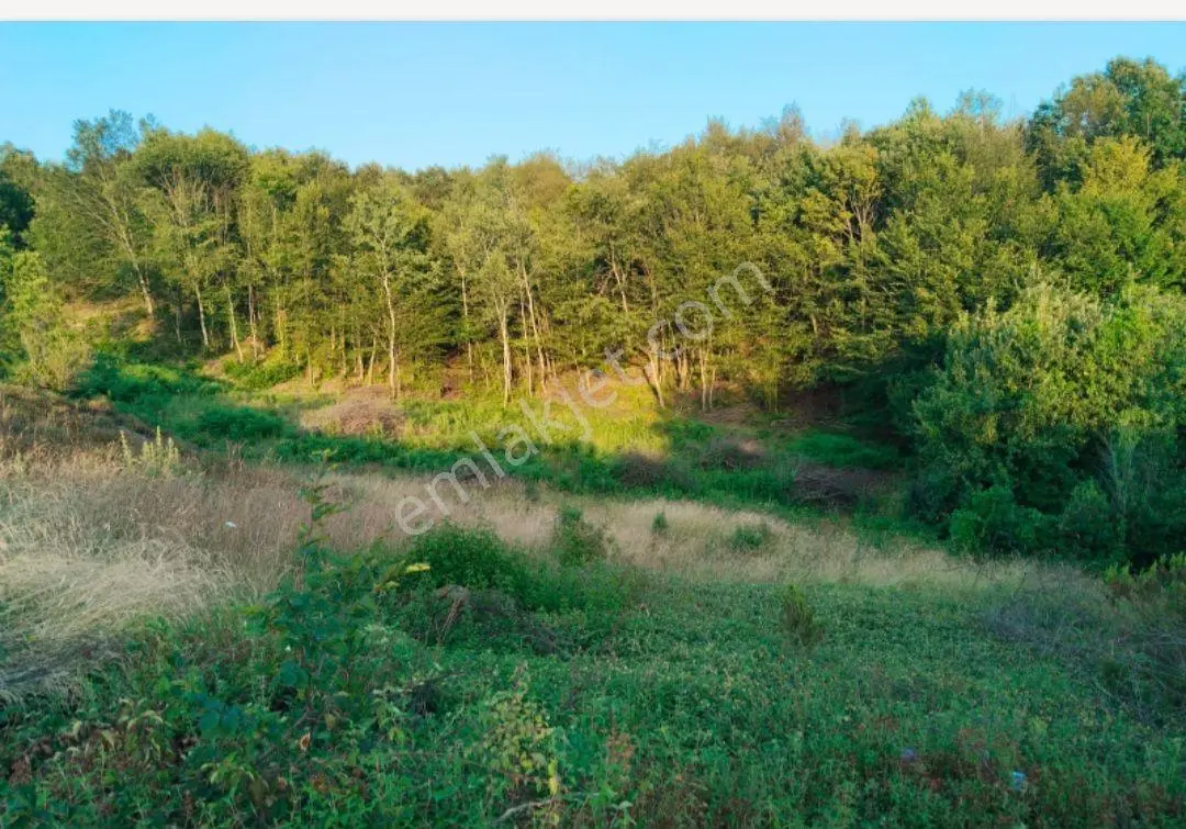 Sahibinden Zonguldak Kdz Ereğli Ramazanlı Köyü Zoroğlu Mahallesi Satılık 2.467 M² Doğa Manzaralı Tarla