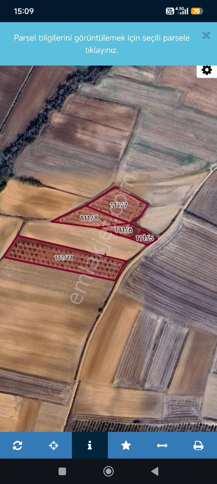 Sahibinden Babaeski Yenimahalle’de 14.561 M² 170 Chandler Cevizlik + Bağ Evi + Sondaj + Traktör