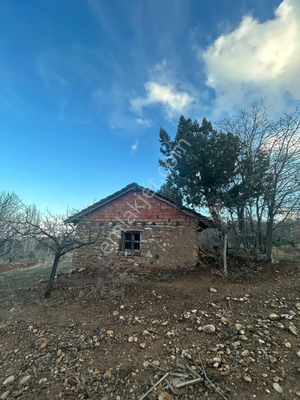 Sahibinden Satılık Çiftlik 3100 M2 Tek Tapu