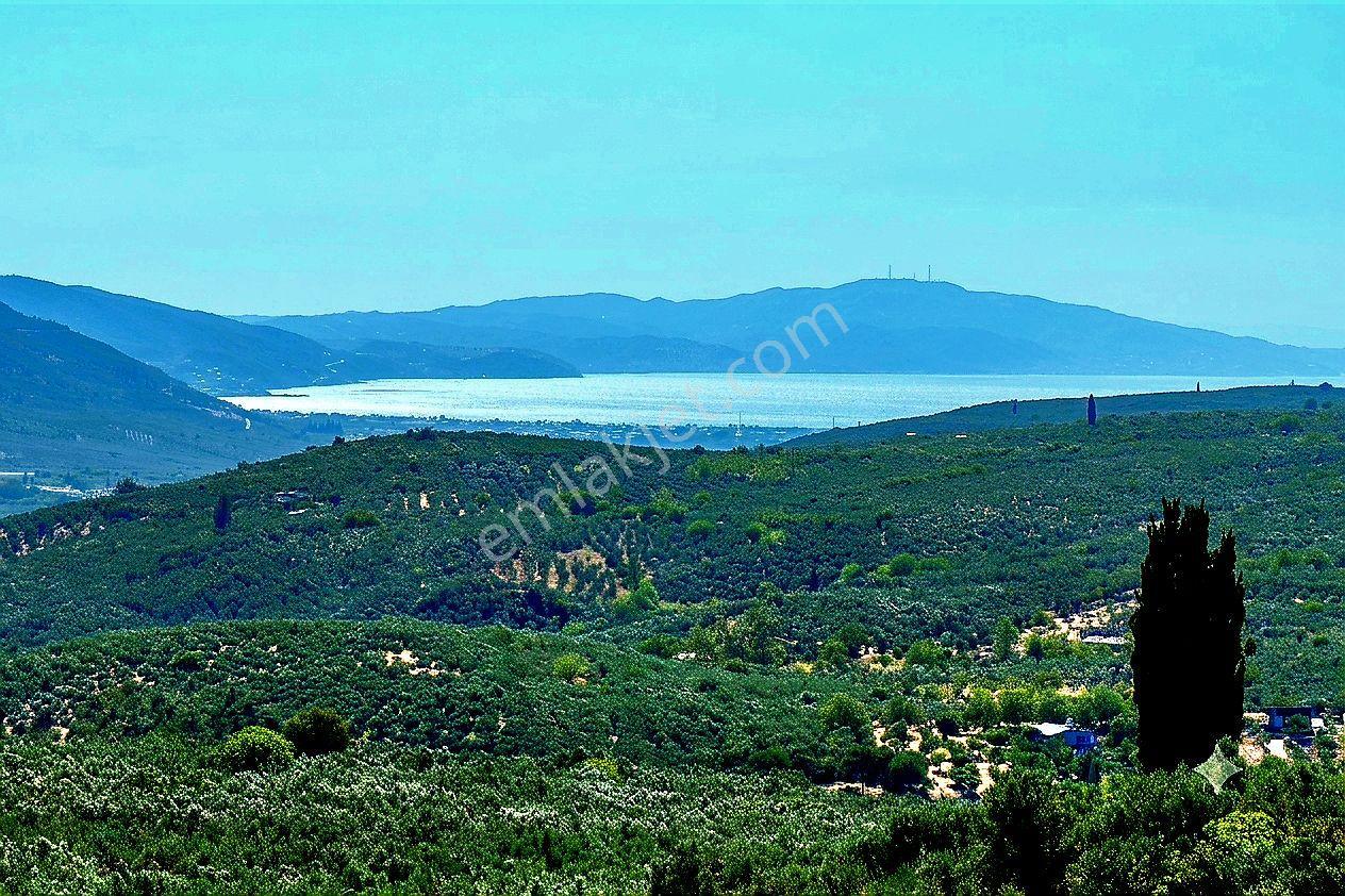 Sahibinden Hobi Bahçe Mavi İle Yeşilin Buluştuğu Deniz Manzaralı Tiny House