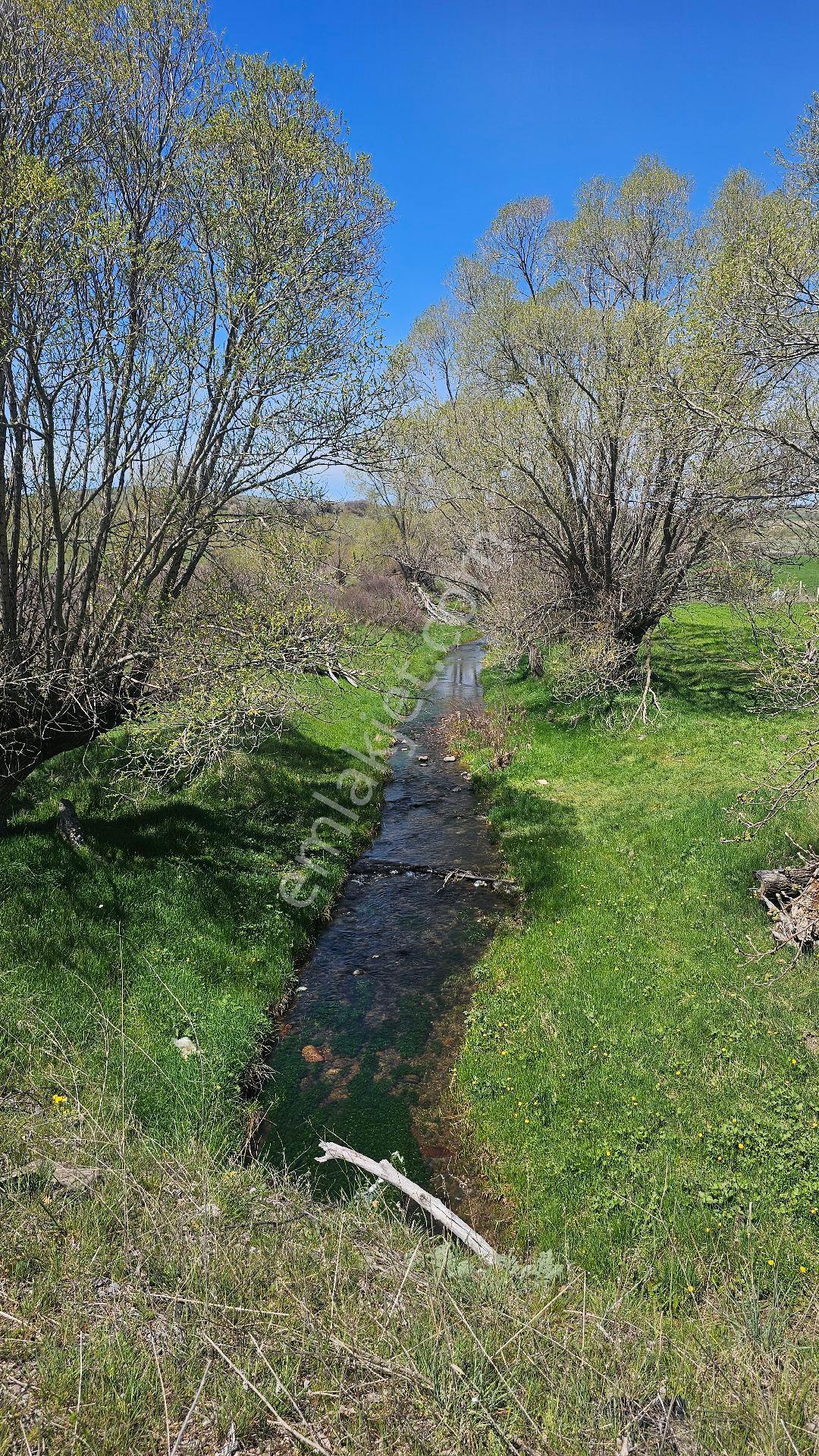 Sahibinden Acil Satılık Müstakil Tarla