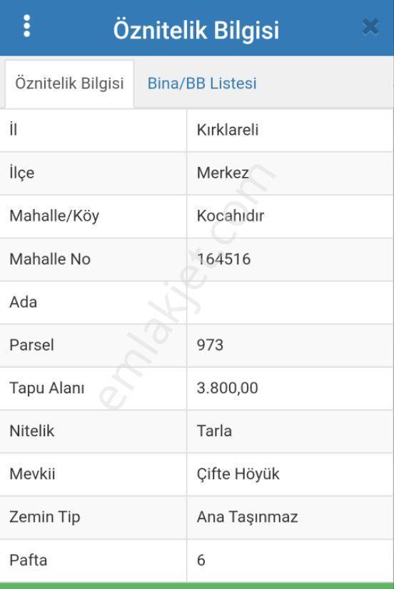 Sahibinden Kırklareli Merkez Kocahıdır 3800 M² Tarla