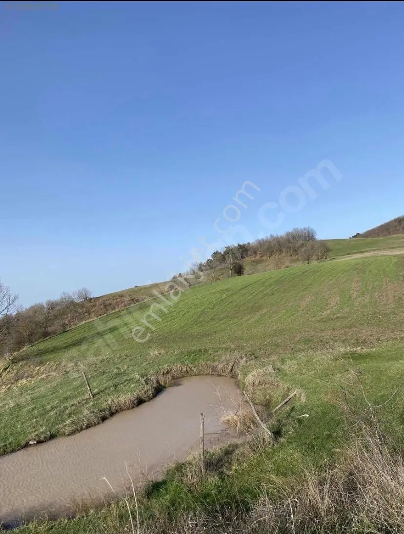 Sahibinden Doğanın İçinde 6327 M2 Arazi