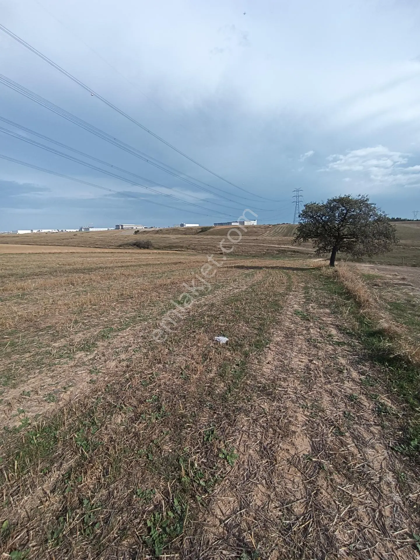 Sahibinden Çorlu Türkgücünde Sahibinden Satılık 11,500m2 Tarla