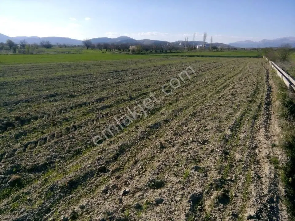 Sahibinden Sahibin'den Satılık Isparta Merkez'de 1.256 M2 Hobi Bahçesi