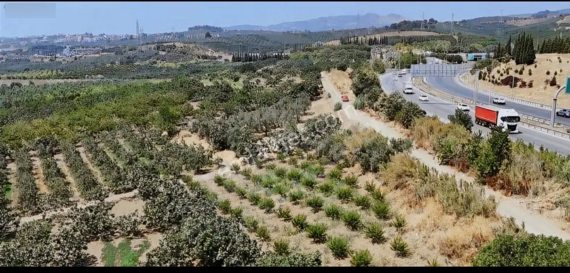Sahibinden Otogar Yakını 107m2 Zeytinlik