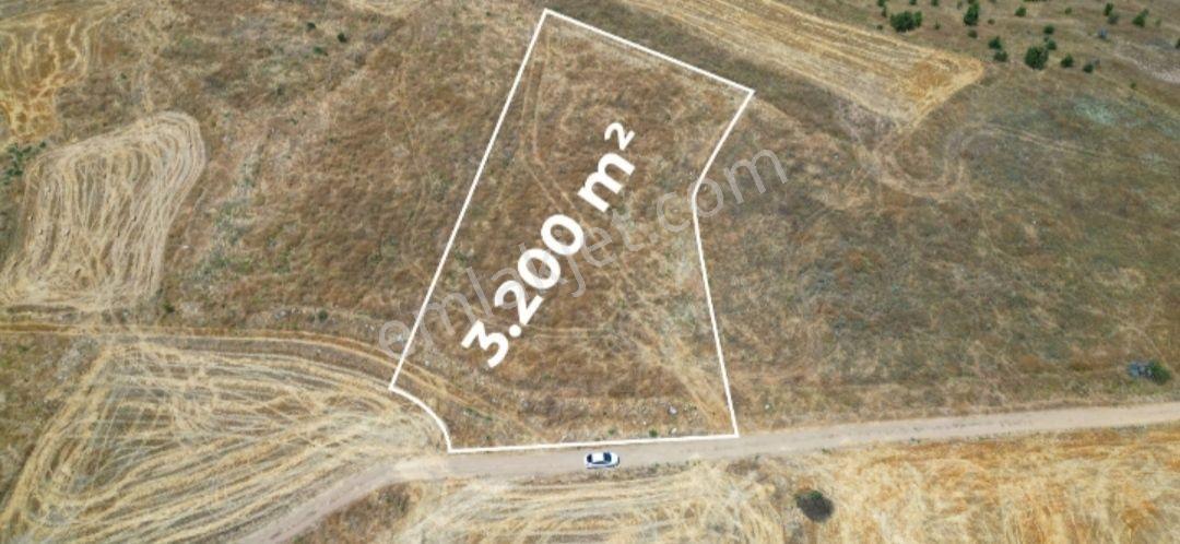 Sahibinden 3.200 M2 Kadastro Yola Cepheli, Düz Ve Ekilebilir Müstakil Tarla