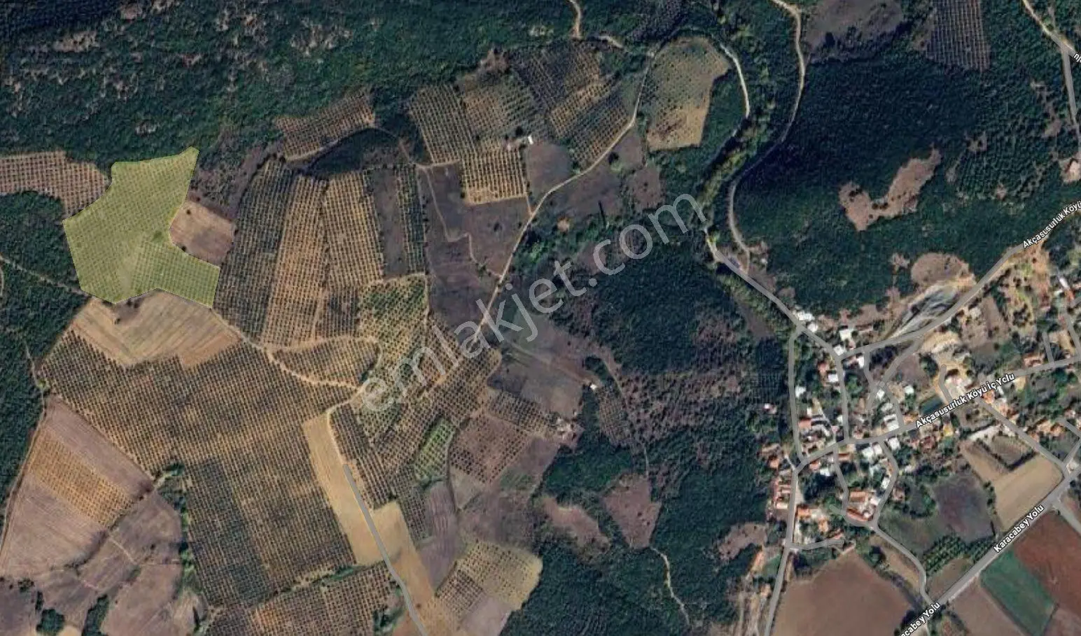 Sahibinden Bursa Akçasusurluk Köyün De Satılık Zeytinlik