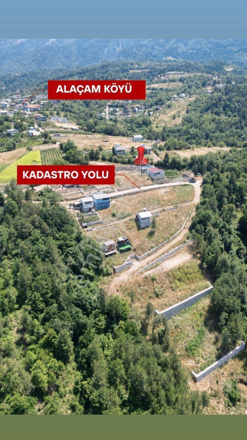 Sahibinden Uludağ Ve Bursa Manzaralı Yerim Satılıktır