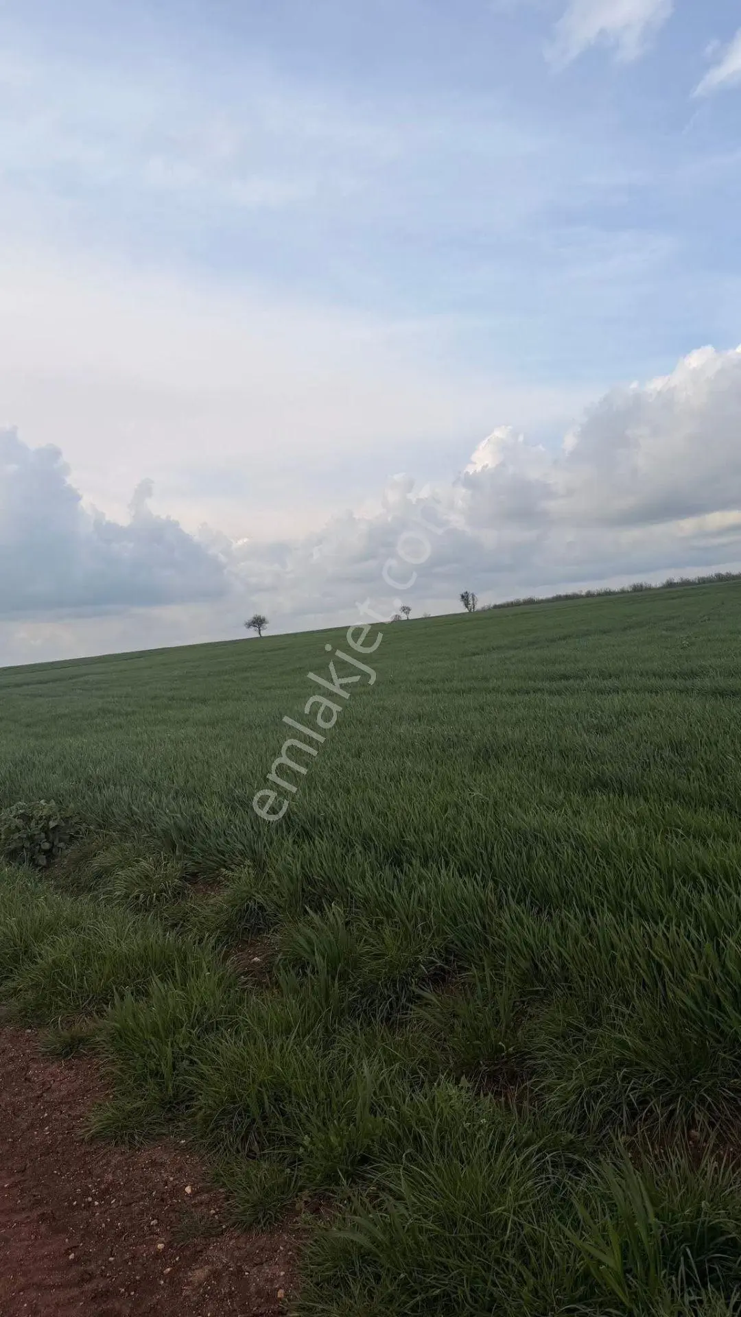 Sahibinden Hisse Fiyatına Tek Tapu 1654m2