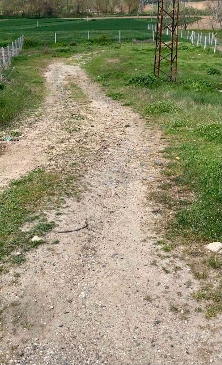 Sahibinden Kupon Arsa Villalara Komşu Orman Manzaralı 2,5 Kat İmarlı