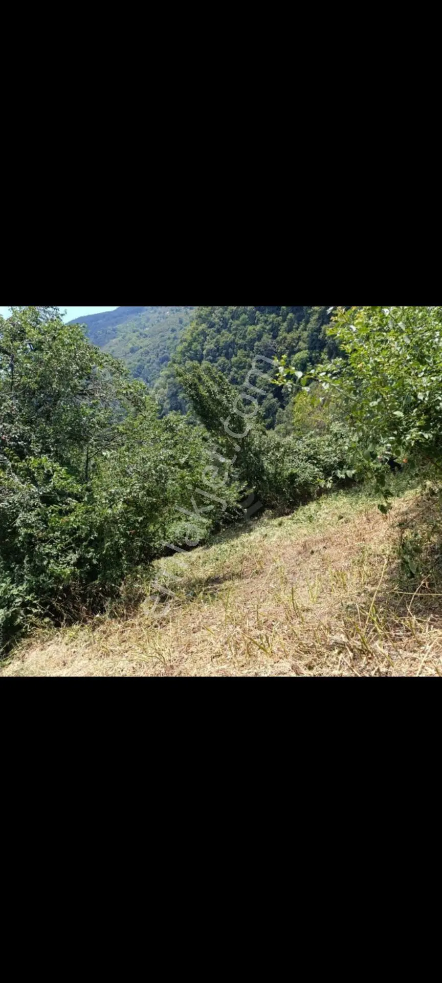 Sahibinden Sahabinden Satılık Fındıklık