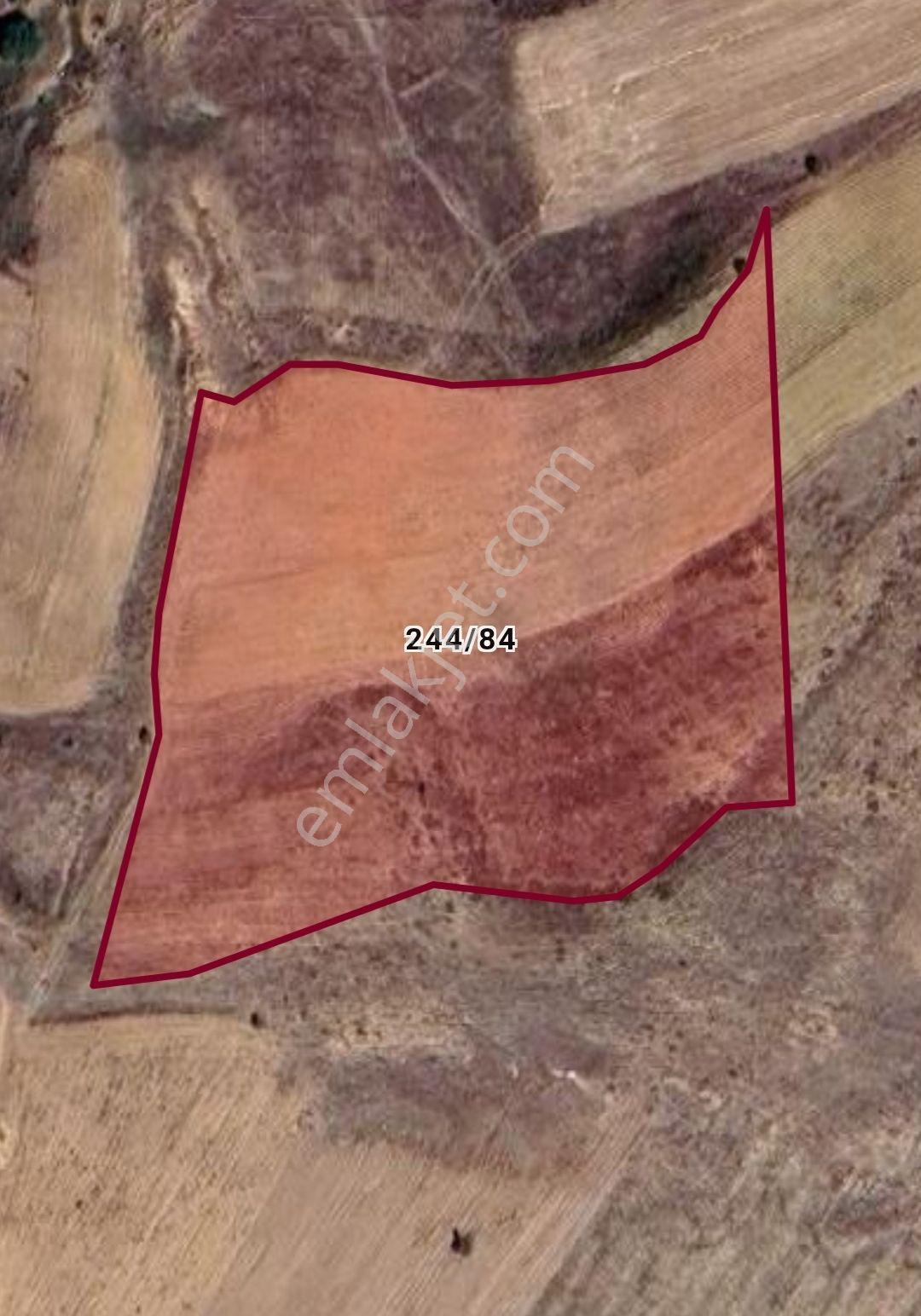 Sahibinden Efsane Fırsat Kaçmaz 13.428m² Arazi Niğde Merkez Elmalı Köyü Müstakil Tek Tapu
