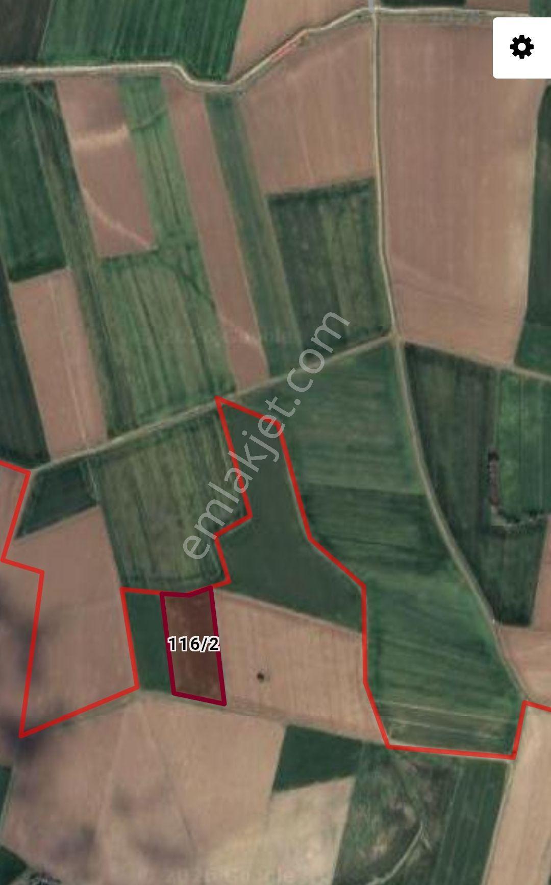Sahibinden Merzifon Satılık Tarla Hayrettin Köyü