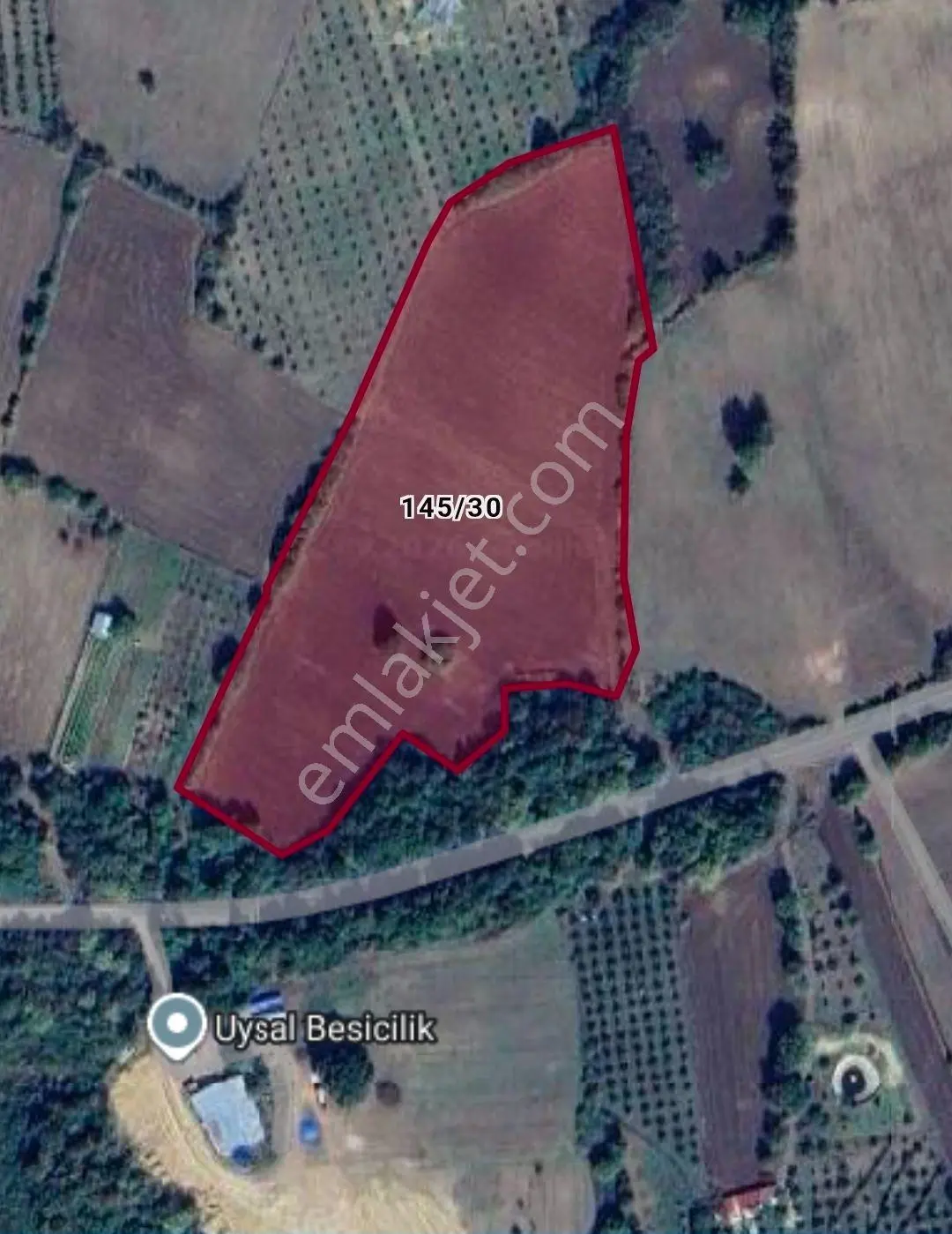 Sahibinden Yalova Çiftlikköy İlyasköy'de Satılık 24.544 M² Tarla
