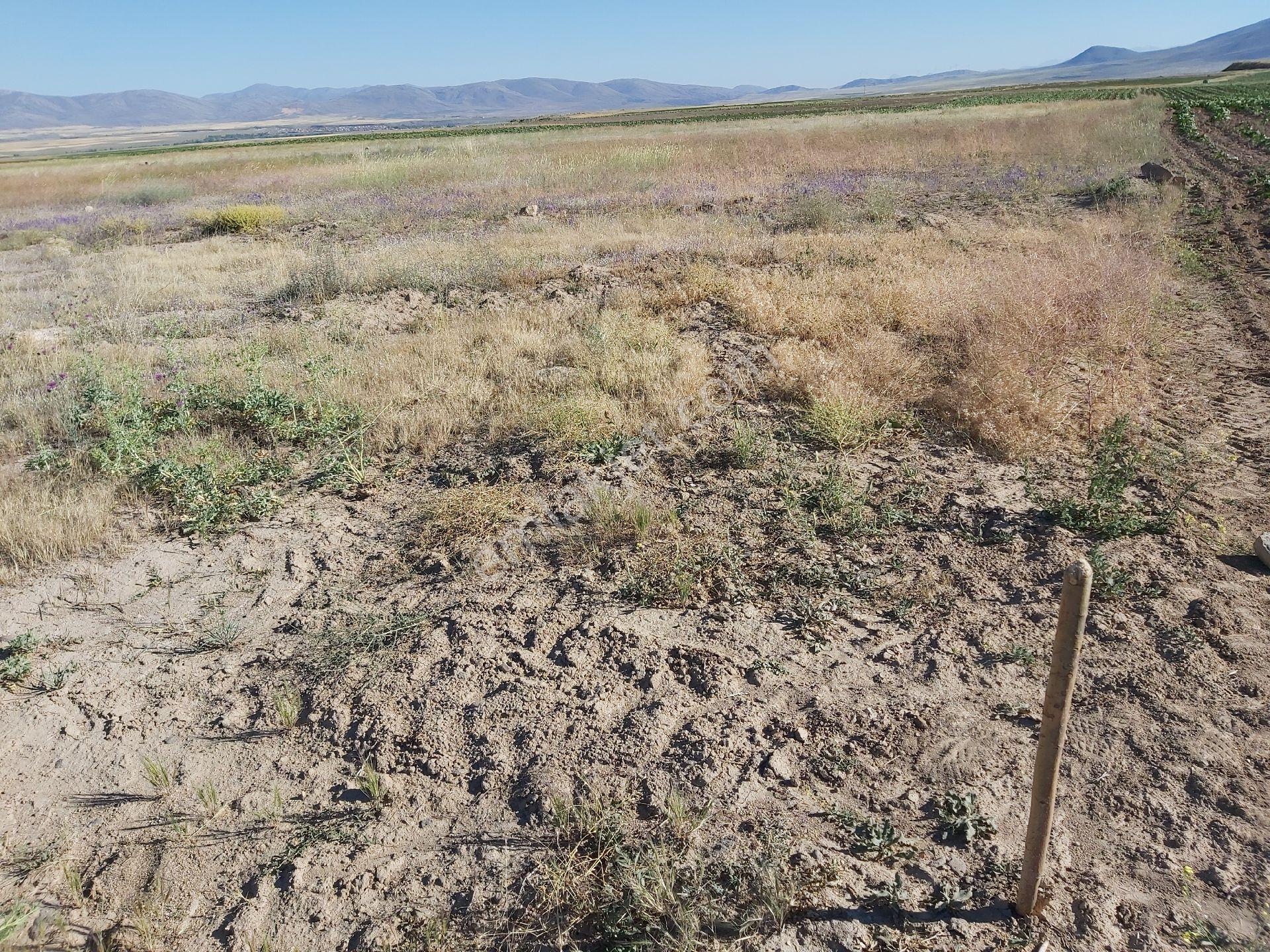 Sahibinden Kayseri, Develi, Gömedi Mahallesi Satılık Tarla 7782,85m2
