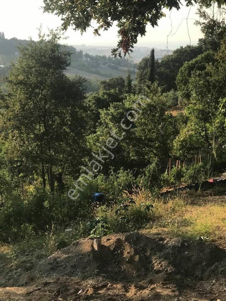 Sahibinden Yola 40 Metre Cephe Muhteşem Doğa