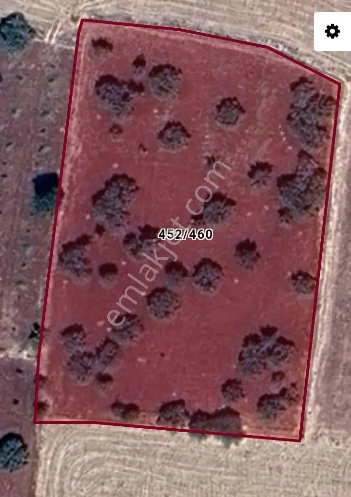 Sahibinden Pazarcık-antep Eski Yolu Üzeri 6 Dönüm Yetişkin Fıstıklık