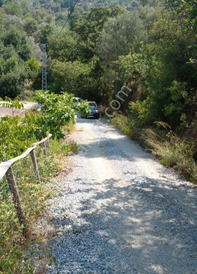Sahibinden Yol, Su, Elektrik Var. Tek Tapu. Köy İçi İmarlı.