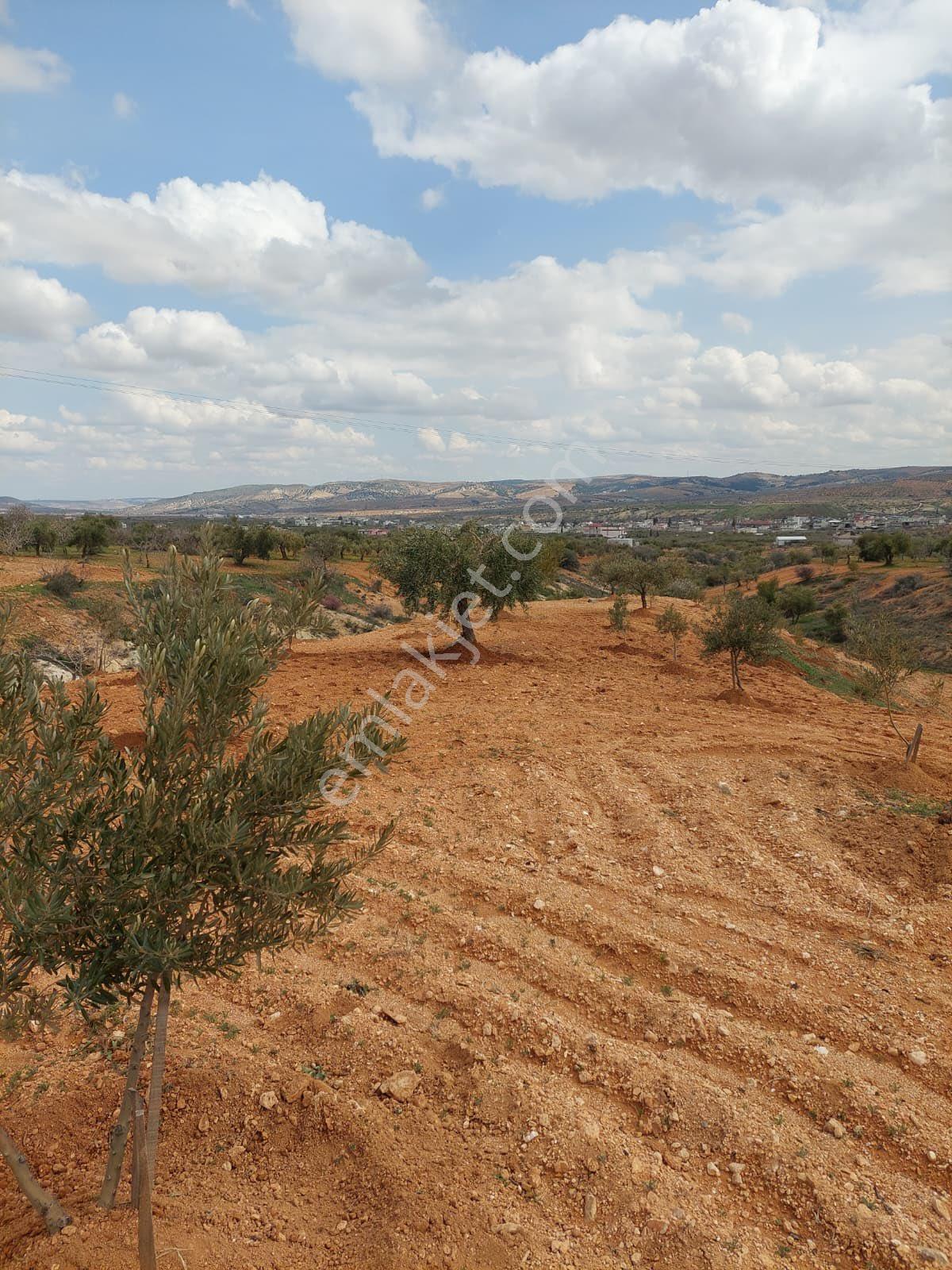 Sahibinden Yatırımlık Arazi