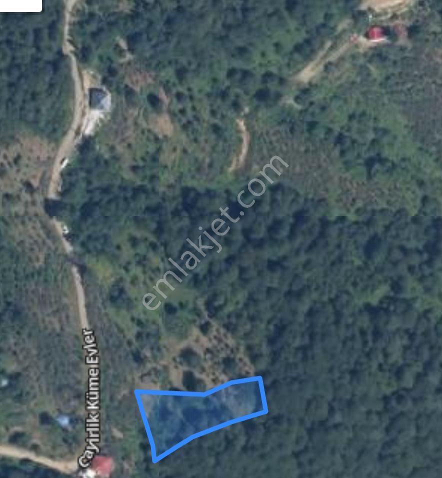 Sahibinden Ballı Köyünde Merkeze 9 Km